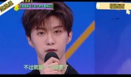 王鹤棣人品爆料视频大全,视频爆料背后的真实一面